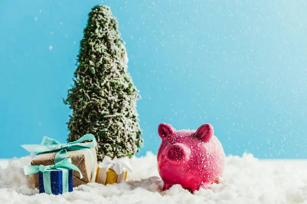 Miniatur-Weihnachtsbaum mit Geschenken und Sparschwein steht auf Schnee auf blauem Hintergrund — Stockfoto