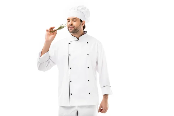 Bonito jovem chef cheirando tomilhos erva isolada em branco — Fotografia de Stock