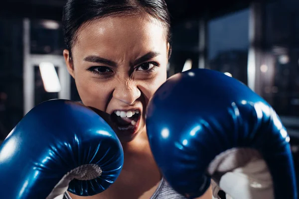 Close up view of shouting girl in boxing gloves — Stock Photo