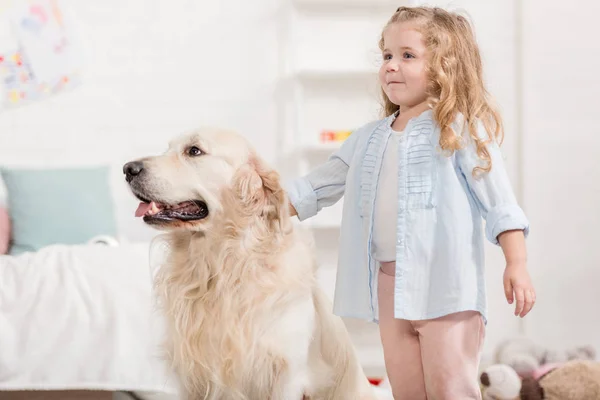 Adorable kid palming golden retriever in children room — Stock Photo