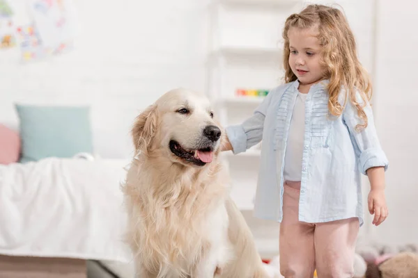 Adorable enfant palming golden retriever dans la chambre des enfants — Photo de stock