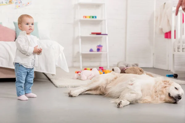 Criança adorável de pé e golden retriever deitado no chão na sala de crianças — Fotografia de Stock