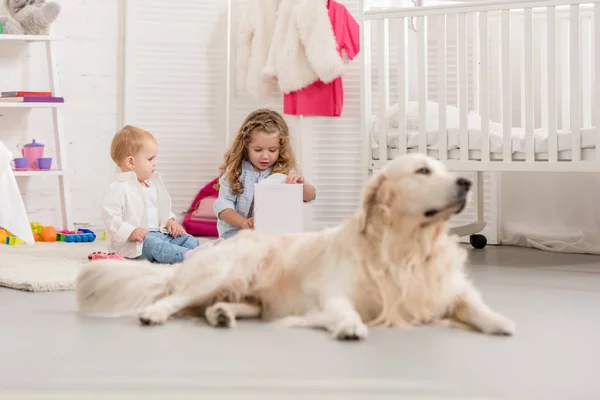 Fuoco selettivo di adorabili bambini che giocano sul pavimento, cane golden retriever sdraiato vicino nella stanza dei bambini — Foto stock