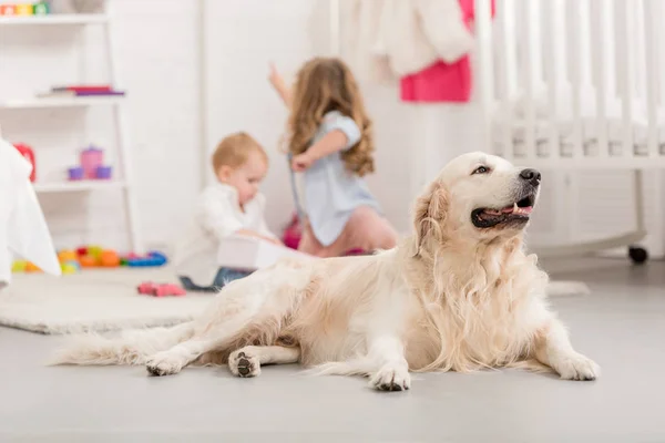 Selective focus of sisters playing on floor, golden retriever lying on foreground in children room — Stock Photo