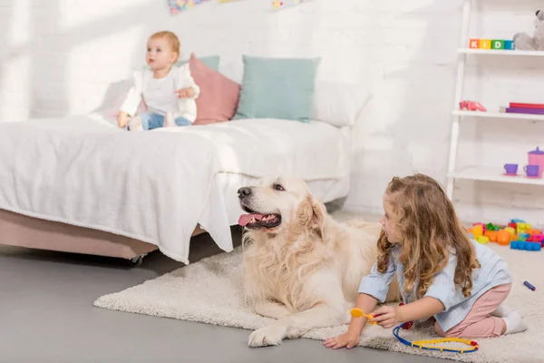 Очаровательный дошкольник, притворяющийся ветеринаром и осматривающий золотистого ретривера в детской комнате — стоковое фото