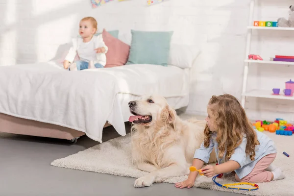 Adorabile bambino in età prescolare fingendo veterinario ed esaminando golden retriever nella stanza dei bambini — Foto stock