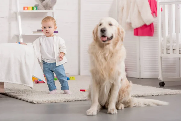 Adorable enfant et mignon golden retriever dans la chambre des enfants — Photo de stock