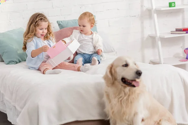 Adorable sisters playing on bed, fluffy golden retriever sitting near bed in children room — Stock Photo