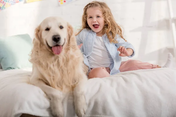 Excitado adorable niño y golden retriever pegando lenguas juntos en la cama en la habitación de los niños - foto de stock