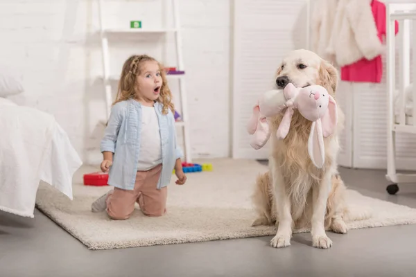 Überrascht entzückendes Kind blickt auf Golden Retriever hält Spielzeug im Kinderzimmer — Stockfoto