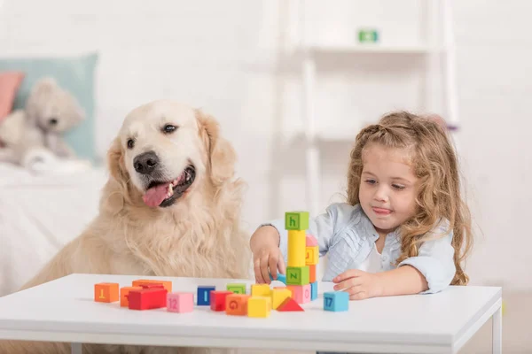 Adorable enfant jouant avec des cubes éducatifs, golden retriever assis près de la table dans la chambre des enfants — Photo de stock