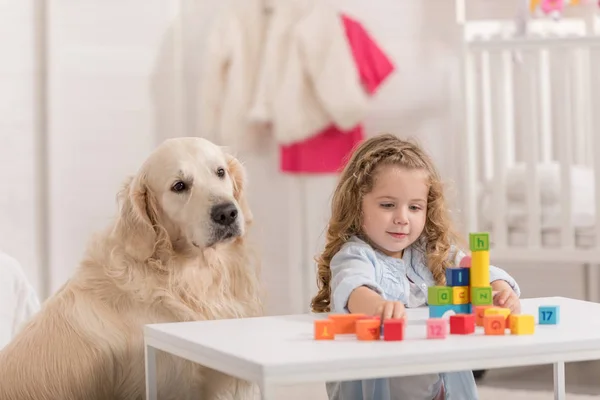 Adorabile bambino che gioca con cubi educativi, morbido golden retriever seduto vicino al tavolo nella stanza dei bambini — Foto stock