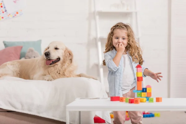 Очаровательный ребенок играет с образовательными кубиками, золотистый ретривер лежит на кровати в детской комнате — стоковое фото