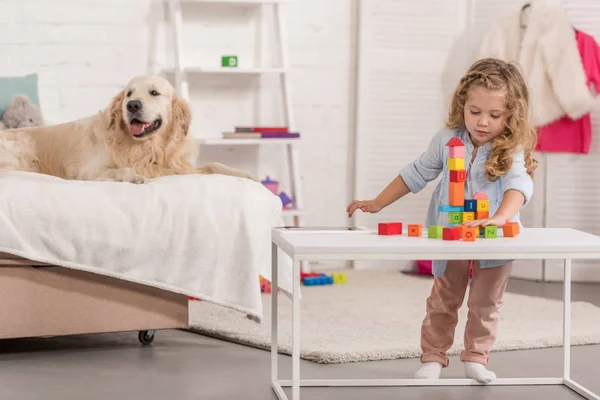 Adorable kid playing with educational cubes, friendly golden retriever lying on bed in children room — Stock Photo