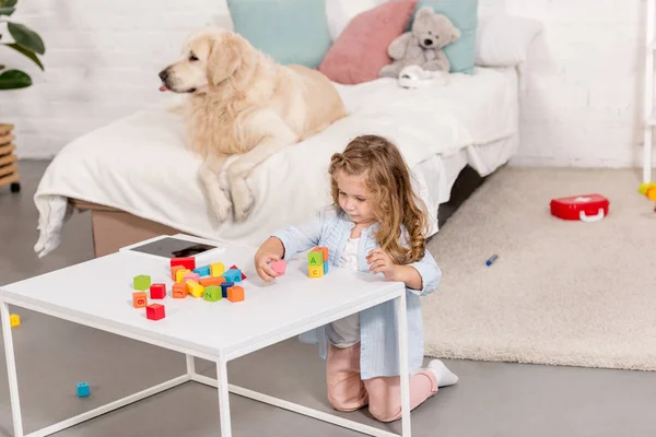 High angle view of adorable kid playing with educational cubes, golden retriever lying on bed in children room — Stock Photo