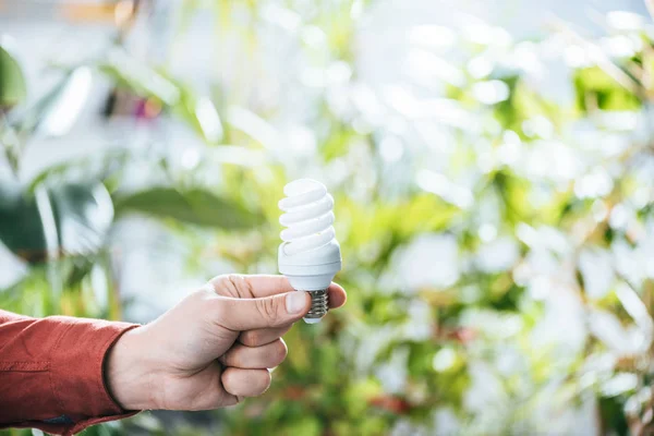 Vista recortada del hombre sosteniendo lámpara fluorescente, concepto de eficiencia energética - foto de stock