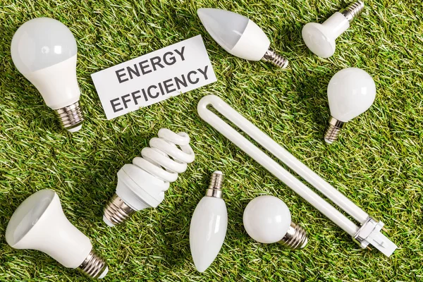 Vista superior de lâmpadas fluorescentes perto do cartão com letras de eficiência energética na grama verde — Fotografia de Stock