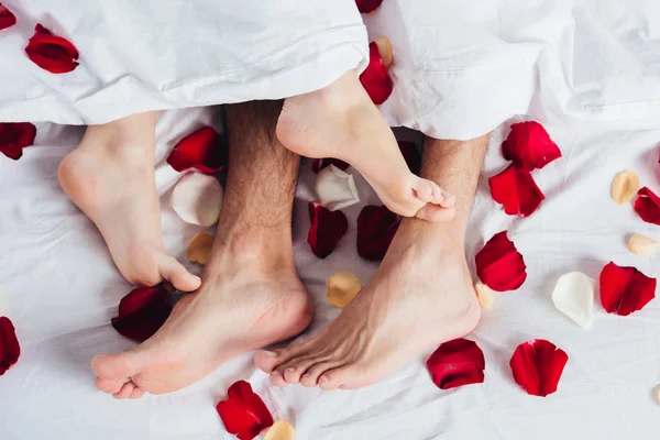 Vista recortada de pareja amorosa acostada sobre ropa de cama blanca suave con pétalos rojos - foto de stock