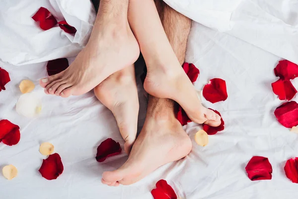 Vista parcial de una pareja descalza acostada sobre una suave cama blanca con pétalos rojos - foto de stock