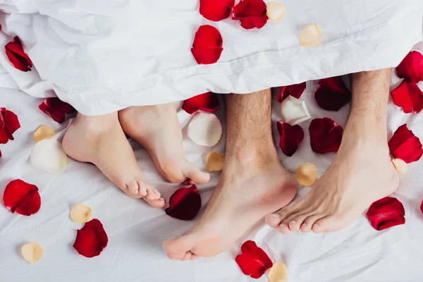 Vista parcial de una pareja descalza acostada sobre una suave cama blanca con pétalos rojos - foto de stock