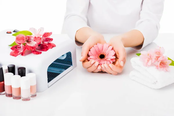 Vista parcial de la manicura posando con flores rosadas en el lugar de trabajo aisladas en blanco - foto de stock