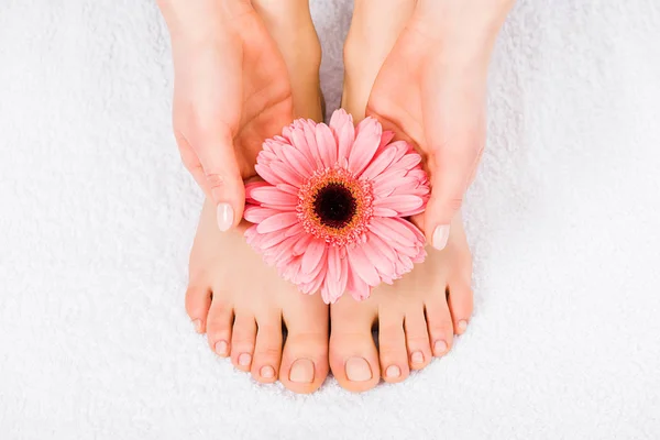 Cropped view of barefoot woman holding pink flower — Stock Photo