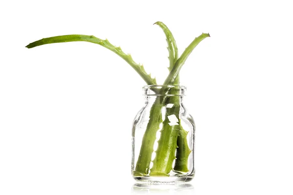 Studioaufnahme von geschnittenen Aloe-Vera-Blättern im Glas isoliert auf Weiß — Stockfoto