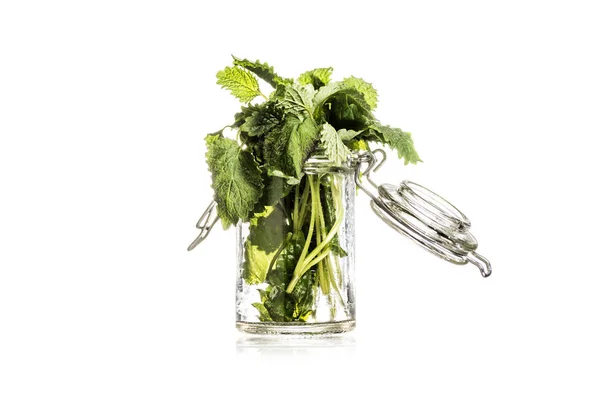 Studio shot of fresh mint leaves in glass container isolated on white — Stock Photo