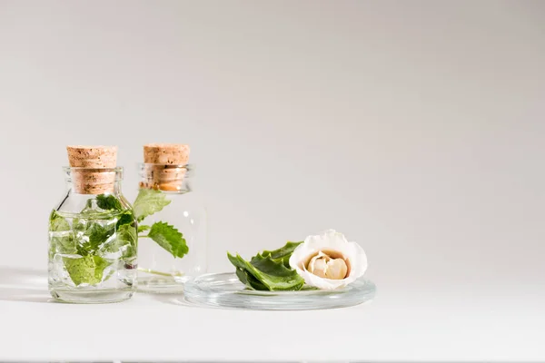 Photo studio de bouteilles en verre avec menthe et fleur sur gris — Photo de stock