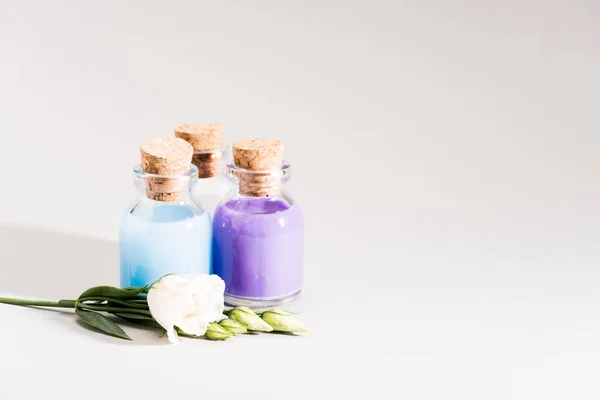 Studio shot of glass bottles with colorful liquid and flowers on grey — Stock Photo