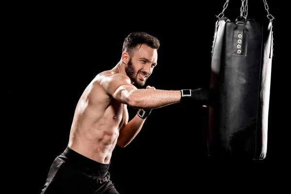 Shortless bearded man exercising with punching bag isolated on black — Stock Photo