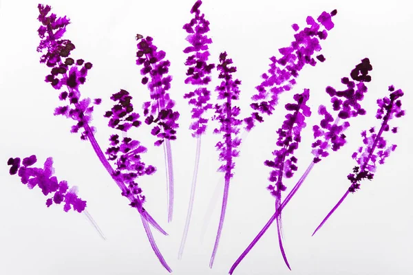 Top view of purple watercolor flowers on white background — Stock Photo