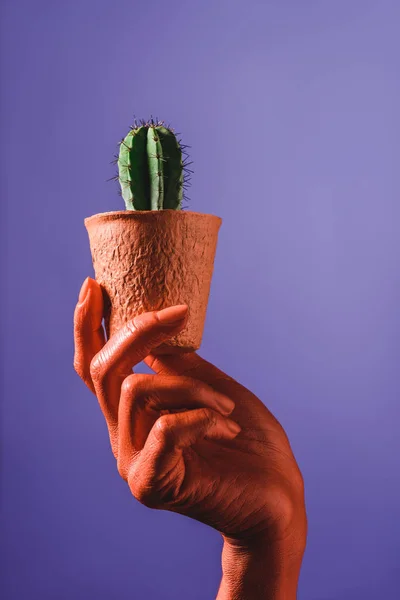 Частичный вид женской руки кораллового цвета с кактусом в коралловом цветочном горшке на фиолетовом фоне, цвет концепции 2019 года — стоковое фото