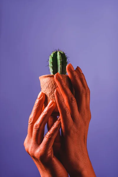 Vista parcial de la mujer con las manos de color coral sosteniendo maceta de flores de coral con cactus verde sobre fondo violeta, concepto de color de 2019 — Stock Photo