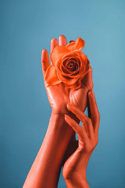 Partial view of woman with coral colored hands holding coral rose, color of 2019 concept — Stock Photo