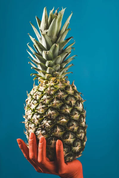 Partial view of color colored female hand holding ripe pineapple fruit on blue background, color of 2019 concept — Stock Photo