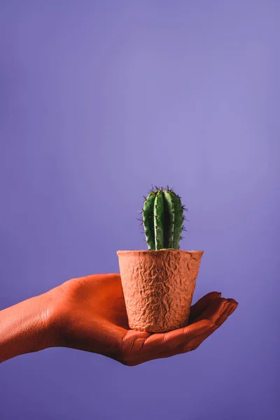 Partial view of coral colored female hand with coral flower pot on violet background, color of 2019 concept — Stock Photo