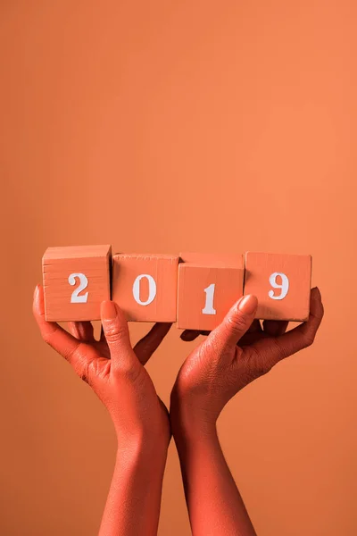 Коралові дерев'яні кубики з числами 2019 року у жіночих руках на кораловому тлі, колір концепції 2019 року — стокове фото
