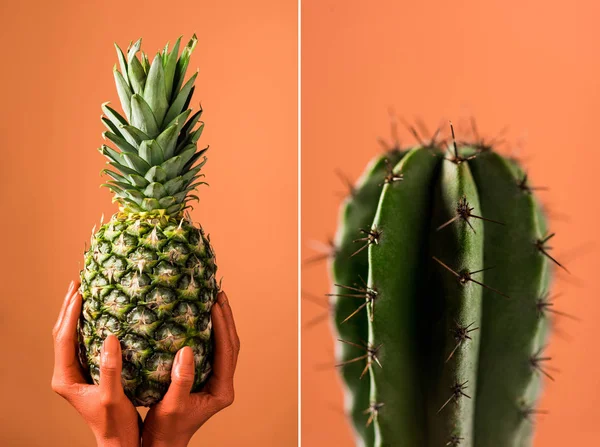 Foco seletivo de cacto verde, e visão parcial da cor das mãos femininas coloridas com frutas de abacaxi em fundo de coral dividido, cor do conceito 2019 — Fotografia de Stock