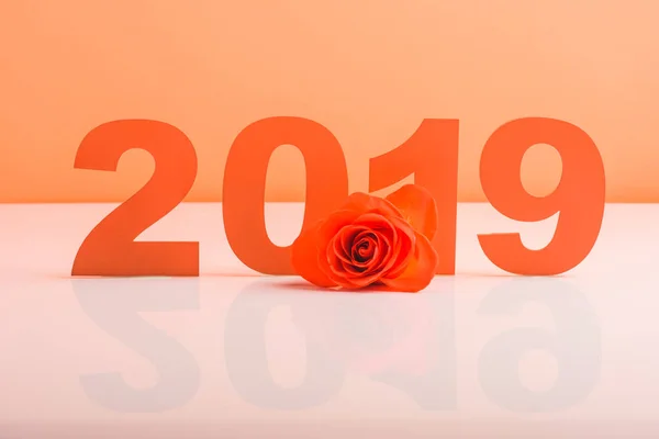 Korallenpapier geschnitten Zahlen 2019 und Rosenblüte auf weißer Oberfläche, Farbe des Konzepts 2019 — Stockfoto