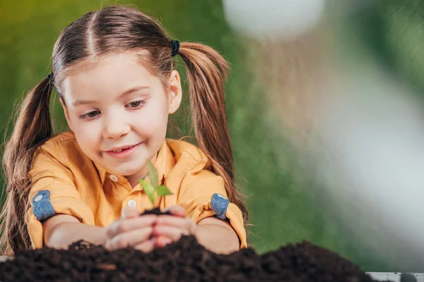 Foco seletivo de plantio infantil planta jovem em fundo borrado, conceito de dia de terra — Fotografia de Stock