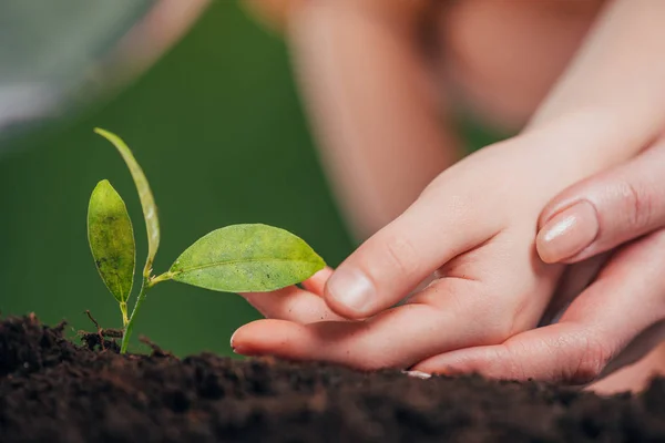 Foco seletivo de mãos de mulher e criança perto de planta verde jovem crescendo no chão em fundo turvo, conceito de dia de terra — Fotografia de Stock