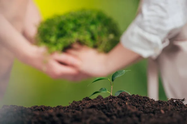 Selektiver Fokus der wachsenden jungen Pflanze, und Frau und Kind halten Pflanze auf verschwommenem Hintergrund, Earth Day Konzept — Stockfoto