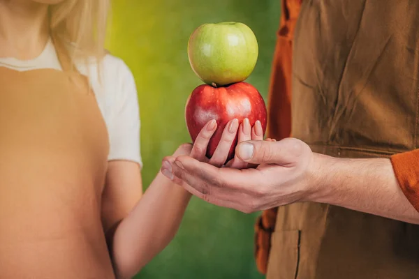 Visión parcial del hombre y la mujer sosteniendo manzanas sobre fondo borroso, concepto del día de la tierra - foto de stock