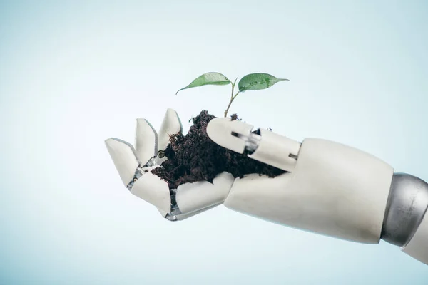 Mano robótica con planta verde joven sobre fondo bicolor, concepto de día de la tierra - foto de stock