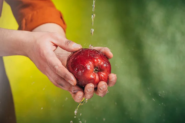 Selektiver Fokus des Menschen beim Apfelwaschen unter pustendem Wasser auf verschwommenem Hintergrund, Earth Day-Konzept — Stockfoto