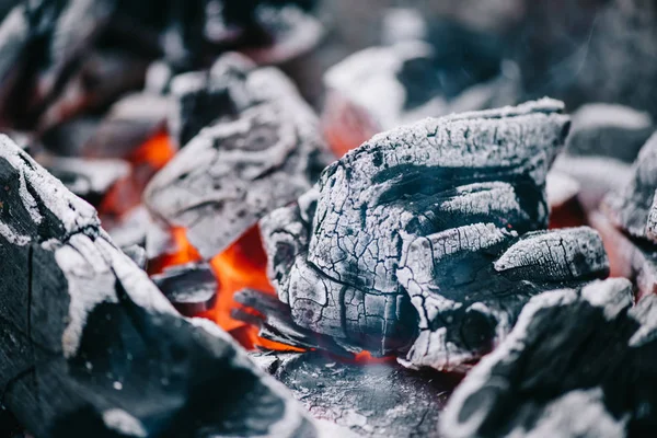 Selective focus of hot burning coals in ash — Stock Photo