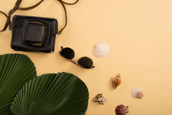 Верхний вид камеры, ракушки, пальмовые листья и солнцезащитные очки на бежевом фоне — стоковое фото