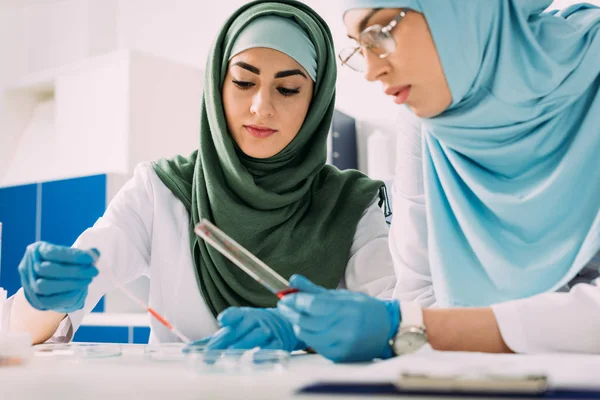 Mulheres cientistas muçulmanas focadas segurando pipeta e tubo de ensaio de vidro durante o experimento em laboratório químico — Fotografia de Stock