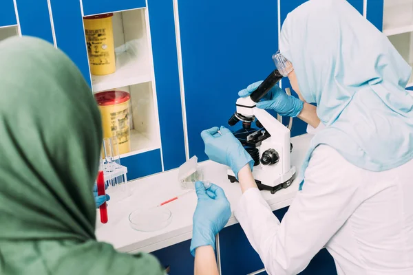 Científicos musulmanes femeninos con microscopio, placa de Petri y pipeta durante el experimento en laboratorio químico - foto de stock